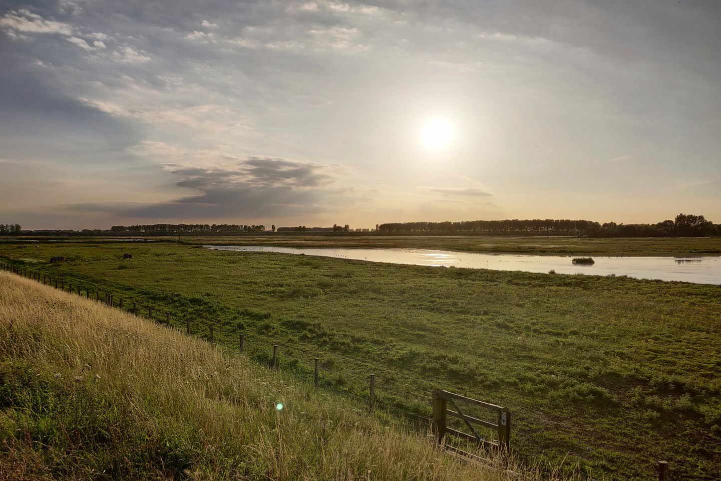 Hedwige Prosperpolder