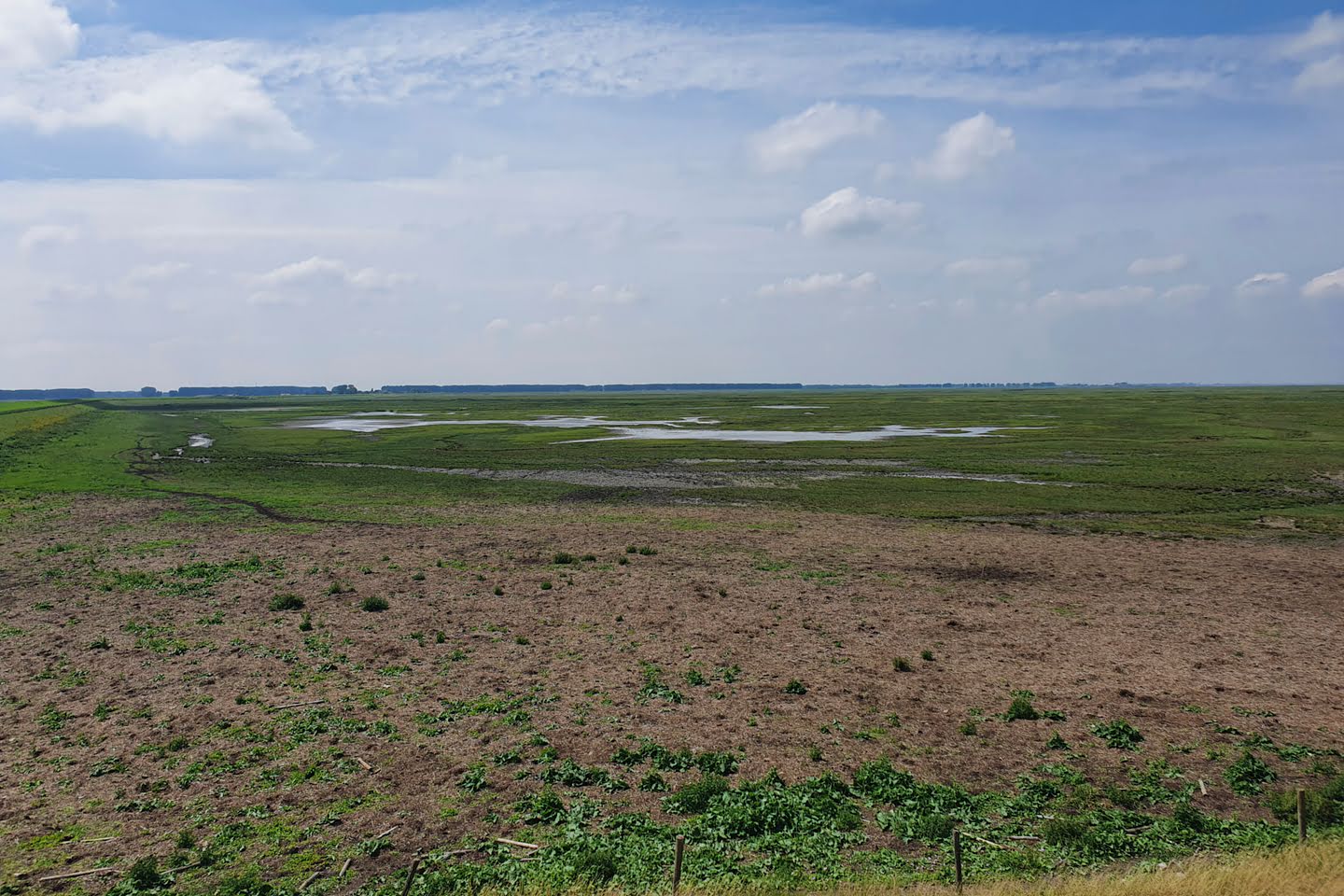 Verdronken land van Saeftinghe