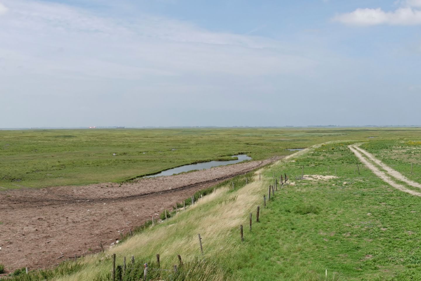 Verdronken land van Saeftinghe