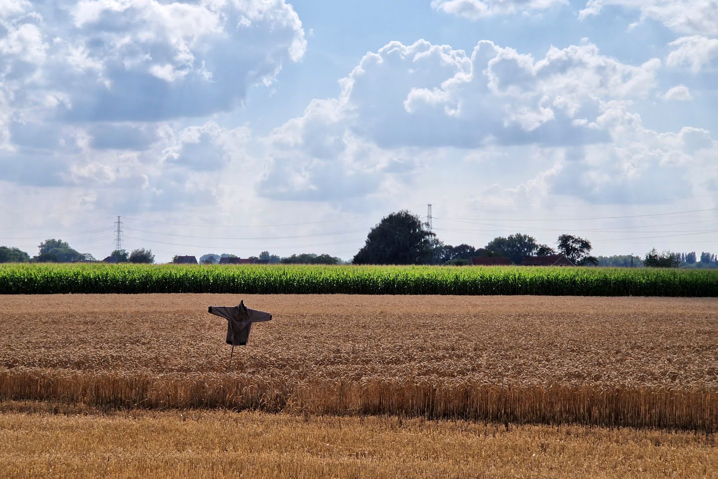 Uitzicht langs de Groene Gordelroute