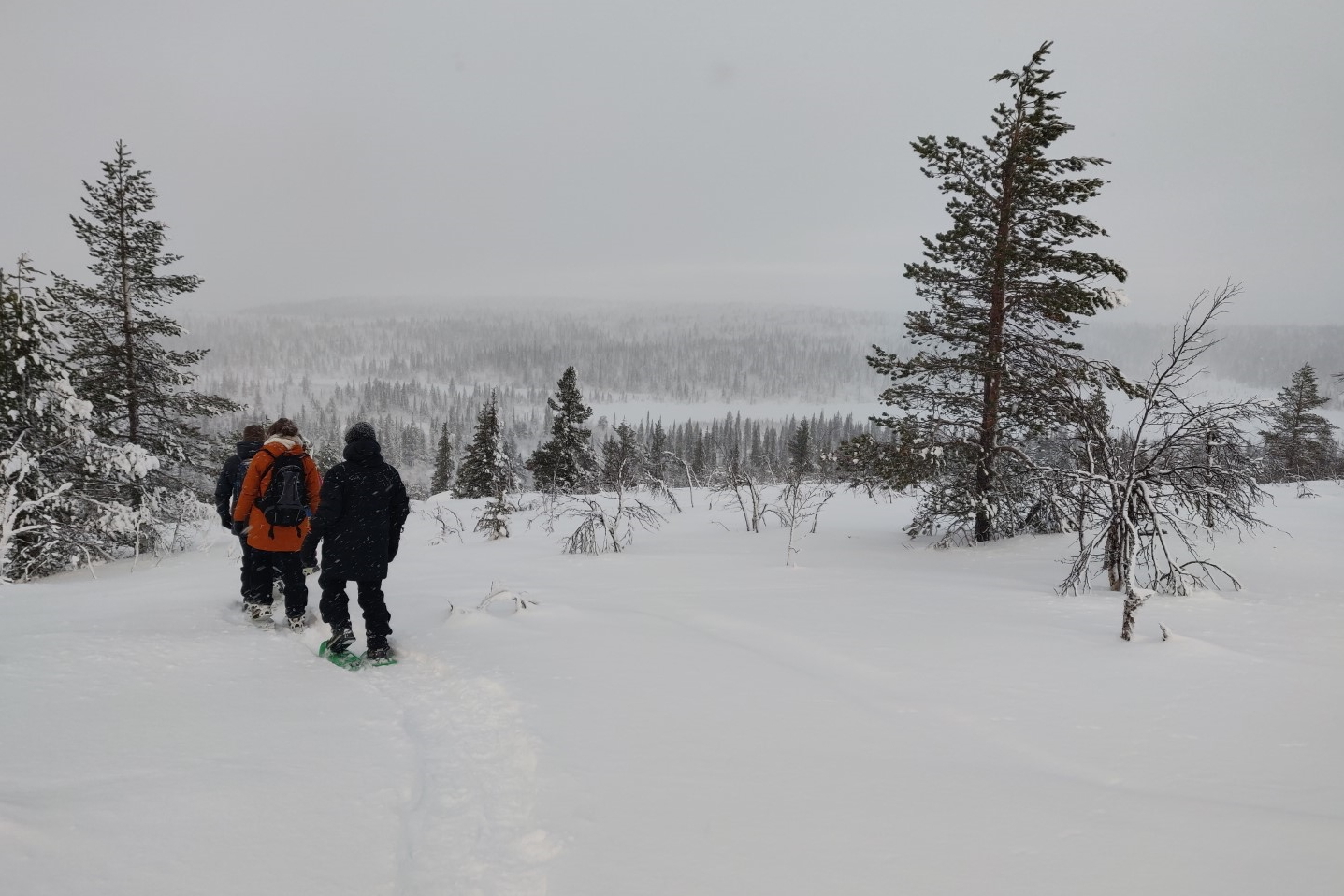 Wandelen op een berg met sneeuwraketten