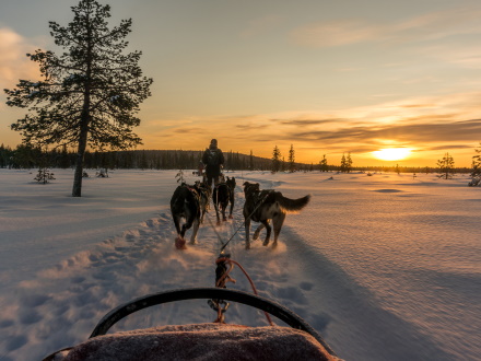 De leukste activiteiten in Lapland