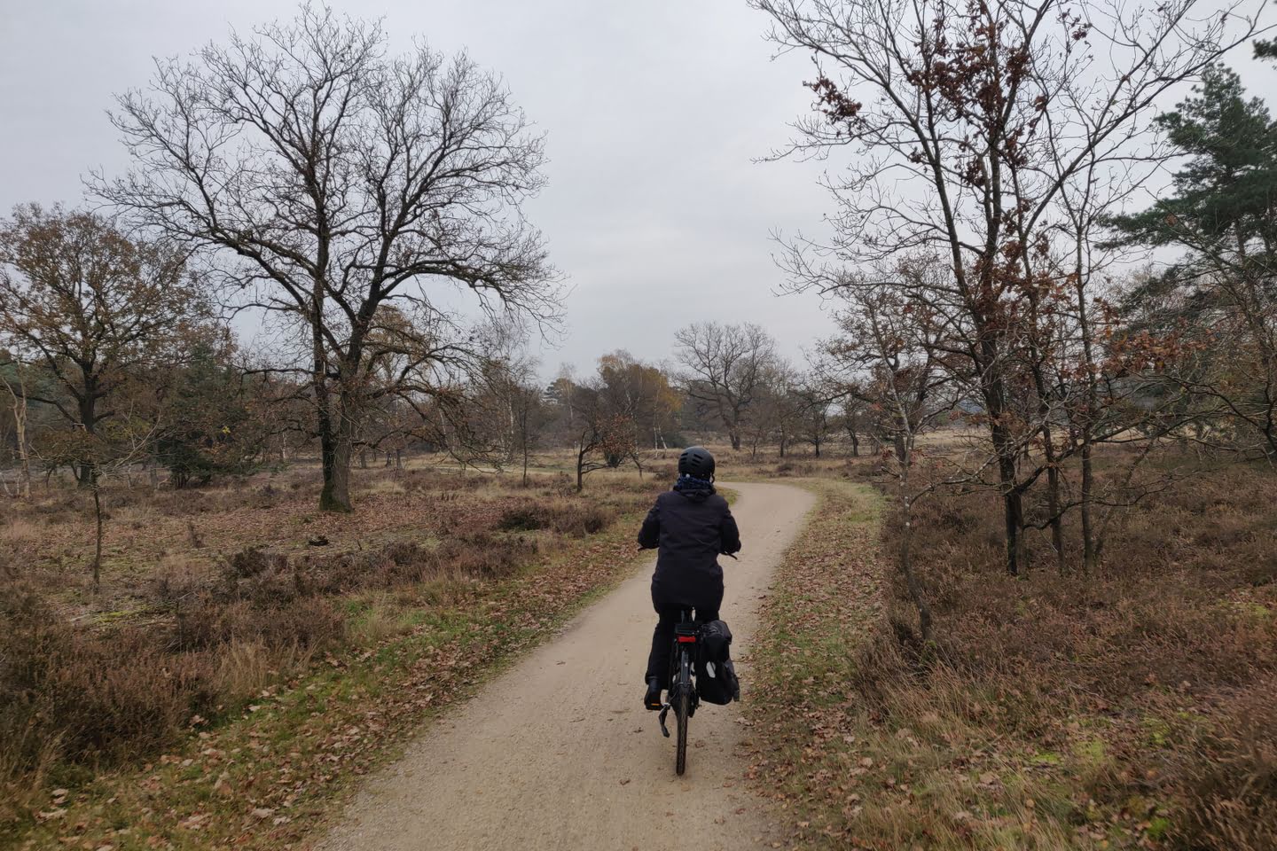 Elsenerveld en veen