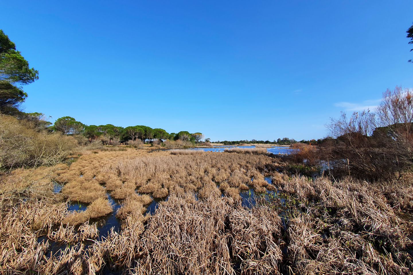 Charco de la Boca