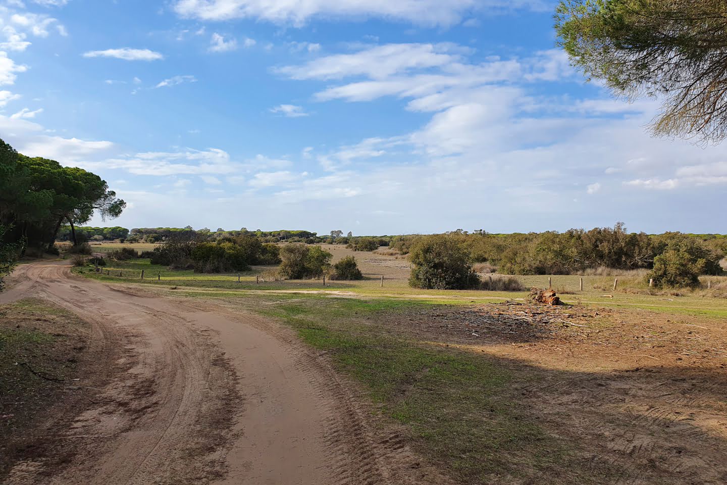 Tour door Doñana