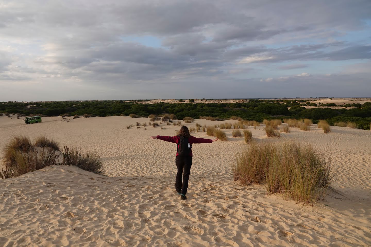 De adembenemende duinen tijdens de Doñana tour