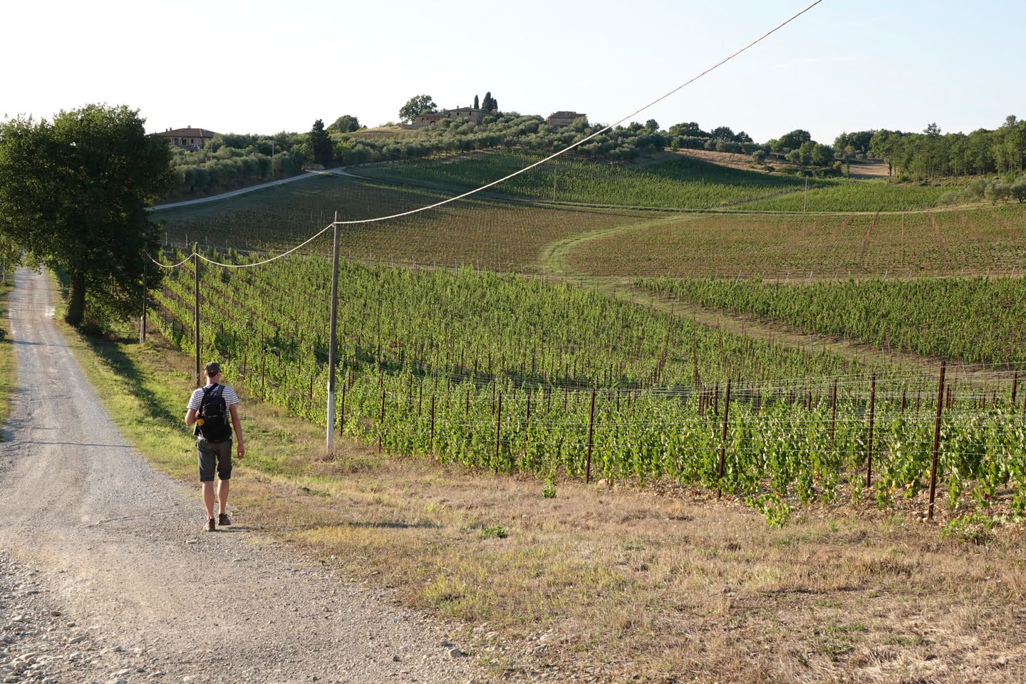 Bozzone-dal (Pontignano)