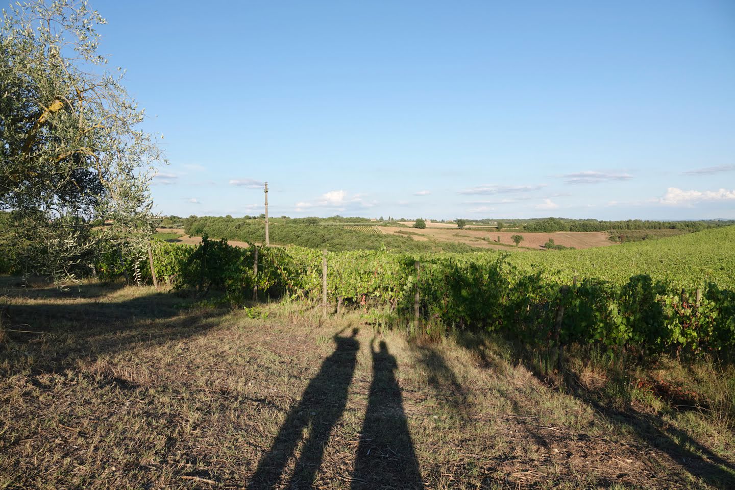 Bozzone-dal (Pontignano)